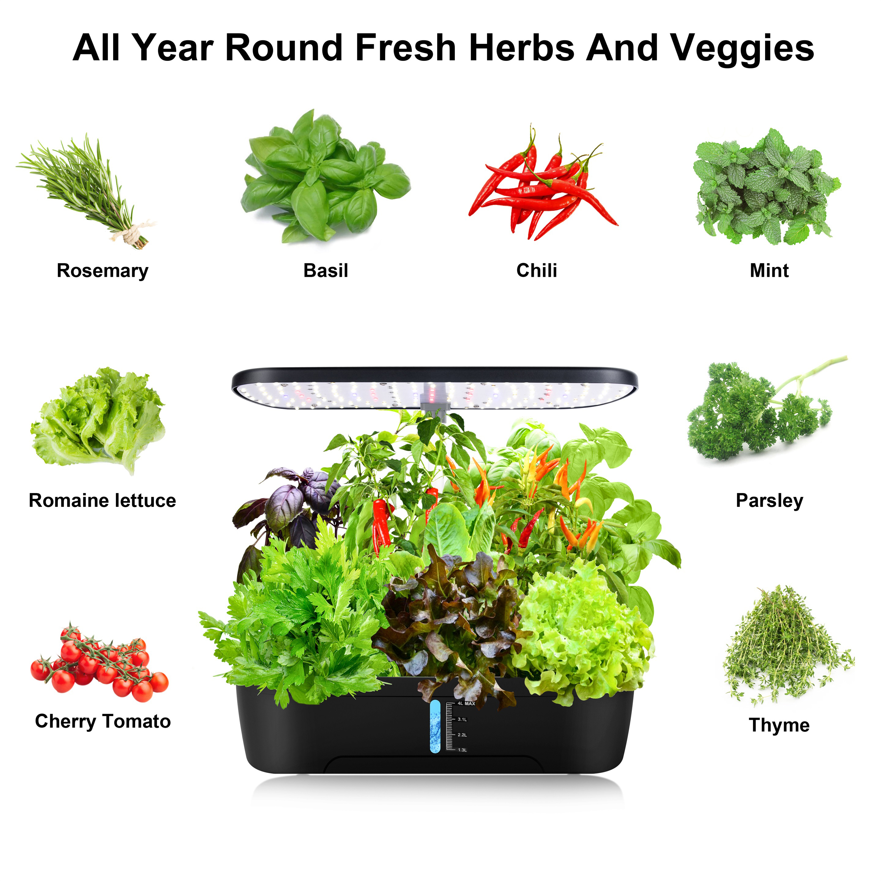 12 Pods Hydroponics Growing Sy - Smart Garden Furniture recension och pris