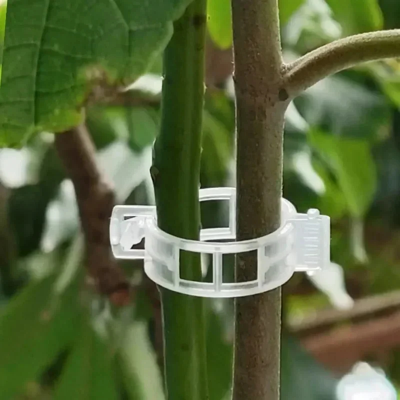 50-300PCS Plant Support Clips  - Smart Garden Furniture recension och pris