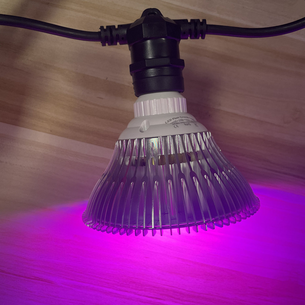 10M Cable LED String Commercia - Smart Garden Light recension och pris