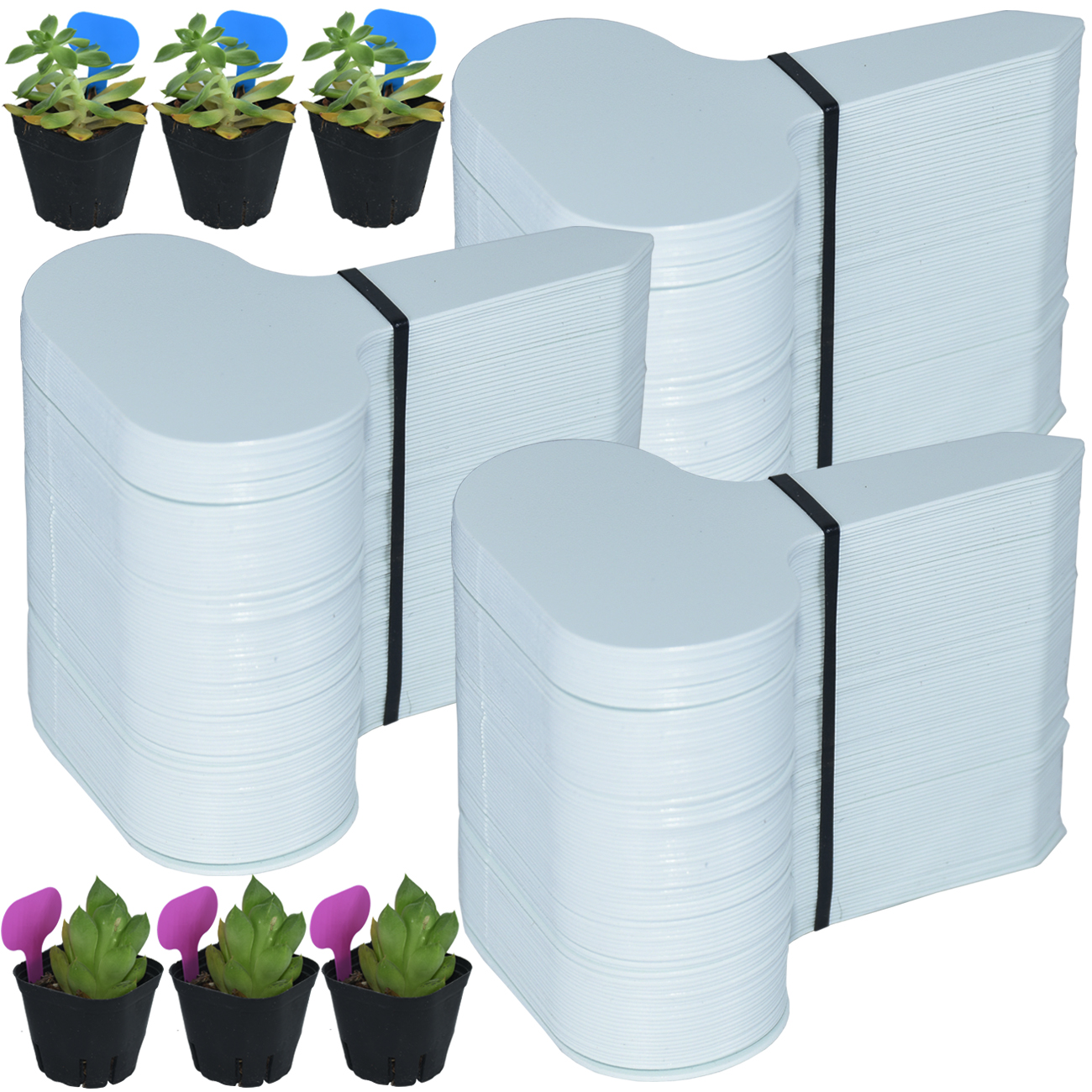 50PCS Garden Plant Labels Mark - Garden Journal Planner recension och pris