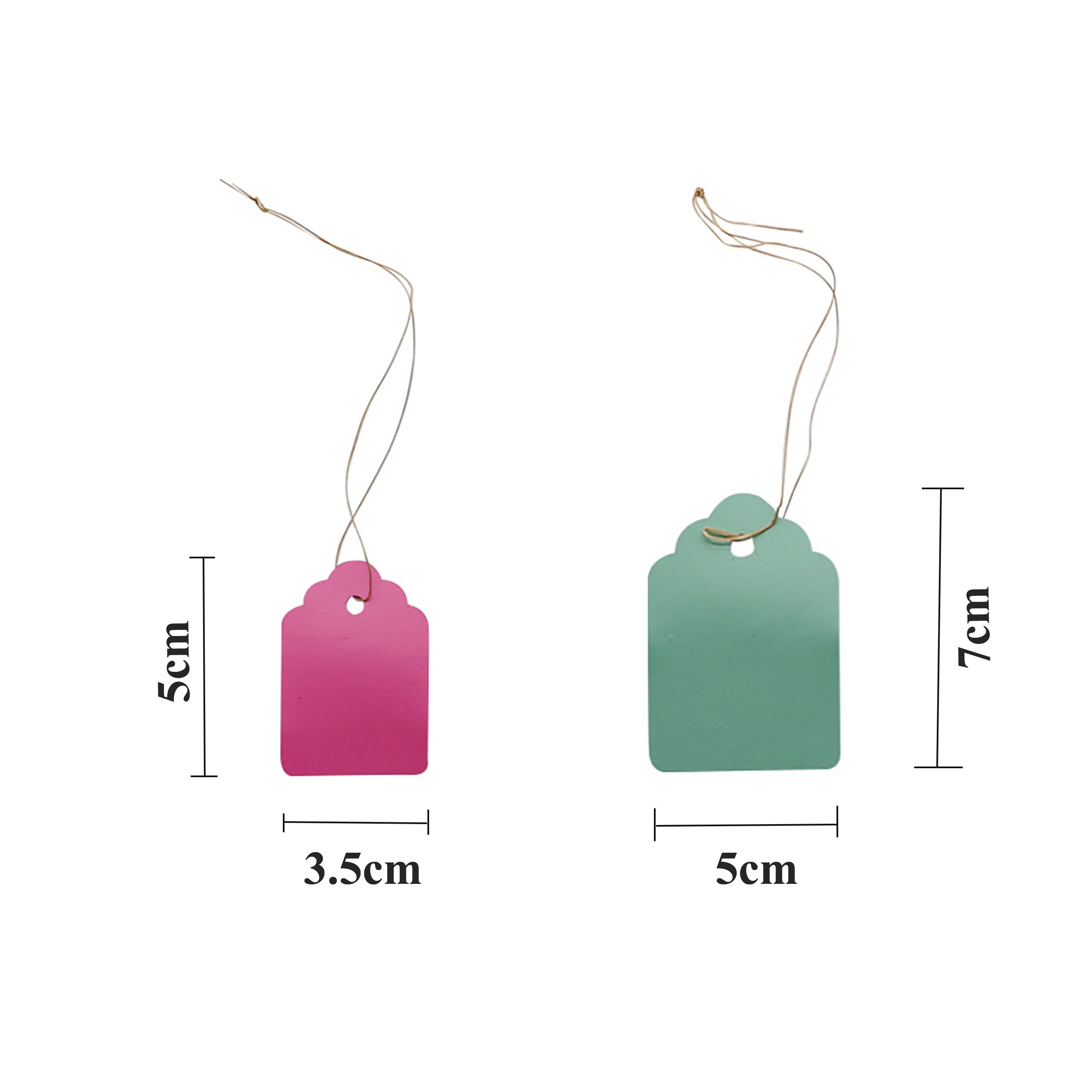 100Pcs/Lot Plants Hanging Plan - Garden Journal Planner recension och pris