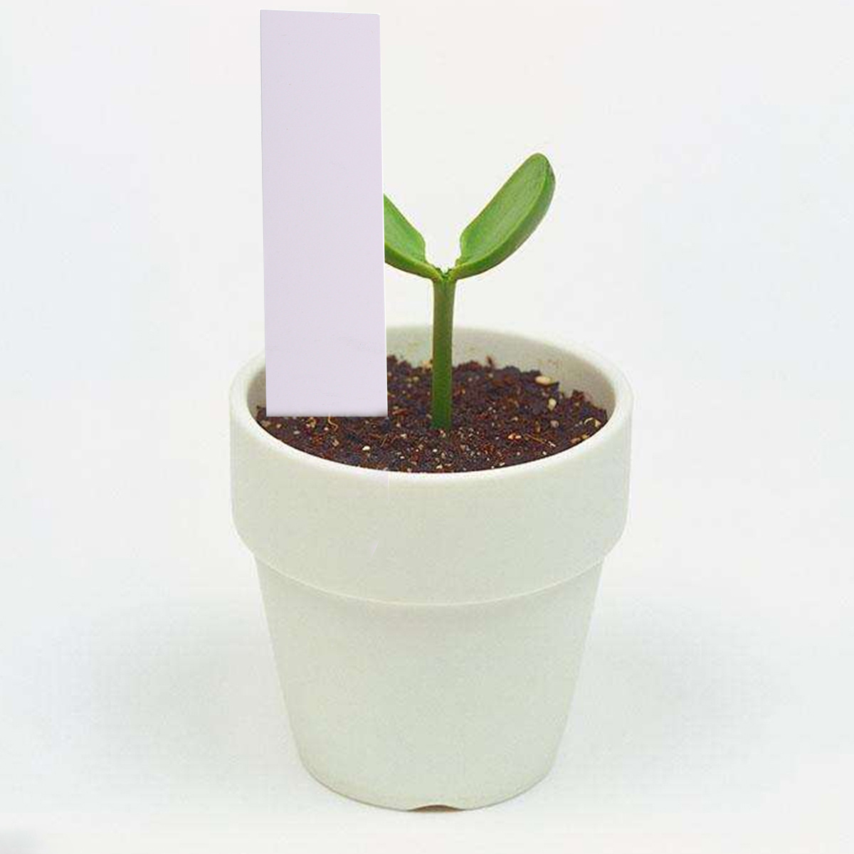 100pcs Garden Plant Labels Whi - Garden Journal Planner recension och pris