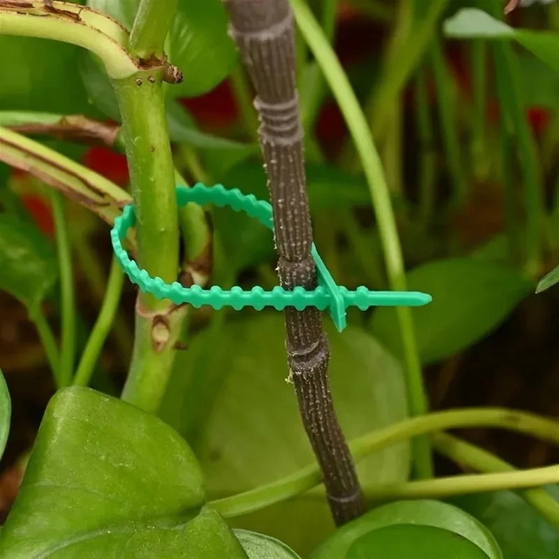 Reusable Garden Cable Ties Pla - Smart Garden Storage recension och pris