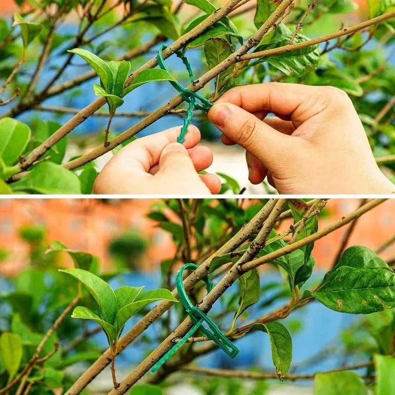 Reusable Garden Cable Ties Pla - Smart Garden Storage recension och pris