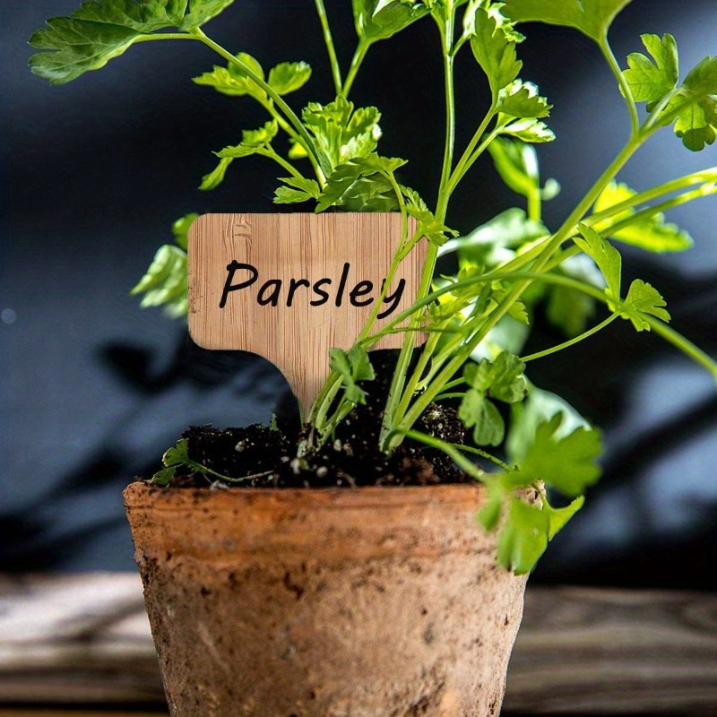 Bamboo Plant Labels, T-Type Wo - Garden Journal Planner recension och pris