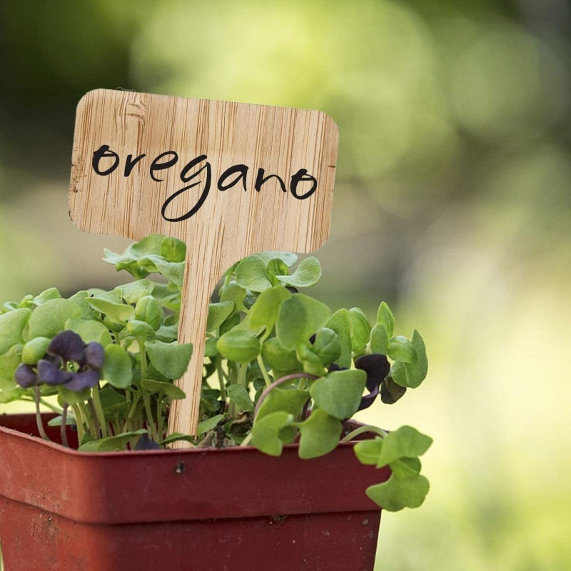 Bamboo Plant Labels, T-Type Wo - Garden Journal Planner recension och pris