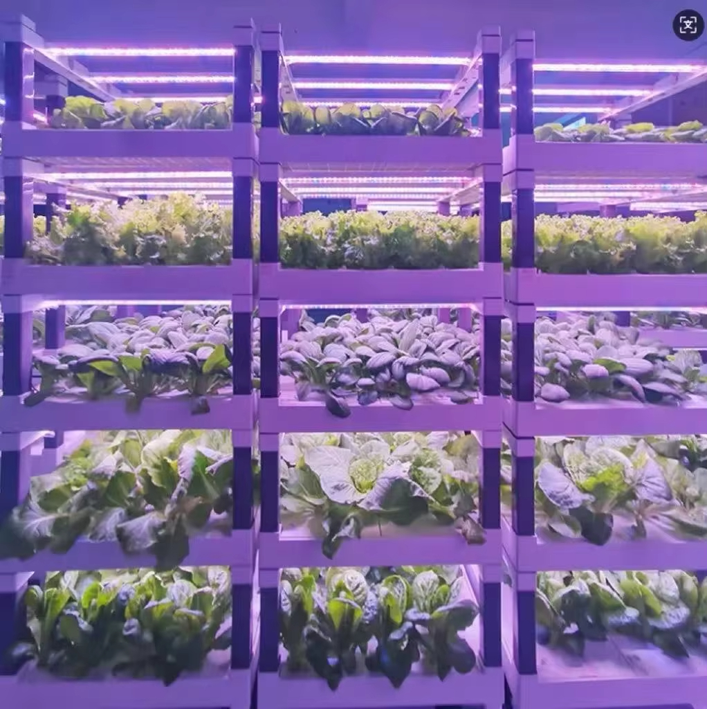 Hydroponic Grow System Greenho - Smart Garden Devices recension och pris